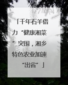 千年石羊借力“健康湘菜”突围，湘乡特色农业加速“出省”