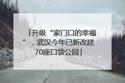 升级“家门口的幸福”，武汉今年已新改建70座口袋公园