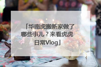 华南虎搬新家做了哪些事儿？来看虎虎日常Vlog