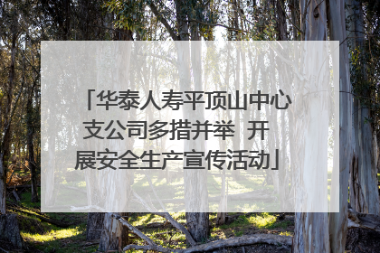 华泰人寿平顶山中心支公司多措并举  开展安全生产宣传活动