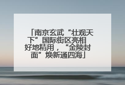 南京玄武“壮观天下”国际街区亮相 好地精用，“金陵封面”焕新通四海