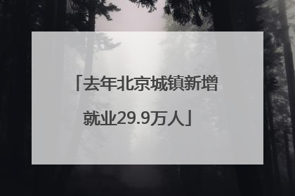 去年北京城镇新增就业29.9万人