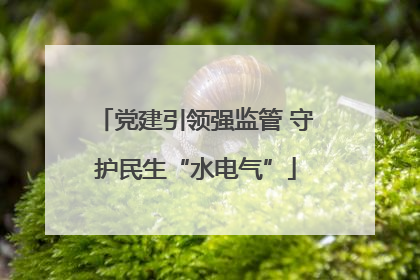 党建引领强监管 守护民生“水电气”