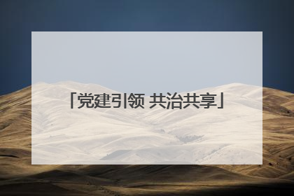 党建引领 共治共享