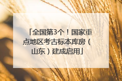 全国第3个！国家重点地区考古标本库房（山东）建成启用