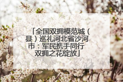 全国双拥模范城（县）巡礼河北省沙河市：军民携手同行 双拥之花绽放