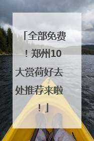 全部免费！郑州10大赏荷好去处推荐来啦！