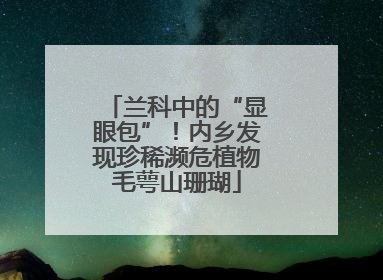 兰科中的“显眼包”！内乡发现珍稀濒危植物毛萼山珊瑚