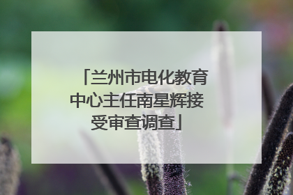 兰州市电化教育中心主任南星辉接受审查调查