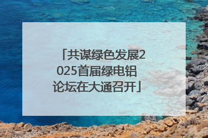 共谋绿色发展2025首届绿电铝论坛在大通召开