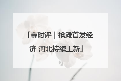 冀时评｜抢滩首发经济 河北持续上新