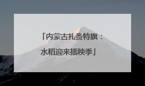 内蒙古扎赉特旗：水稻迎来插秧季