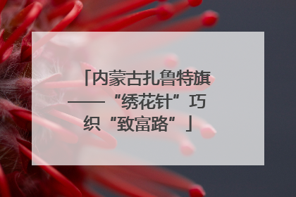 内蒙古扎鲁特旗——“绣花针”巧织“致富路”