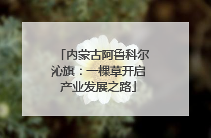 内蒙古阿鲁科尔沁旗：一棵草开启产业发展之路