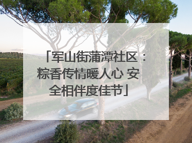 军山街蒲潭社区：粽香传情暖人心 安全相伴度佳节