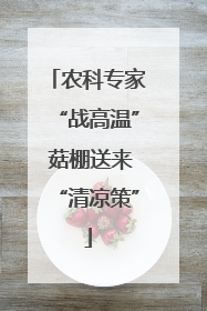 农科专家“战高温” 菇棚送来“清凉策”