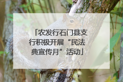 农发行石门县支行积极开展“民法典宣传月”活动