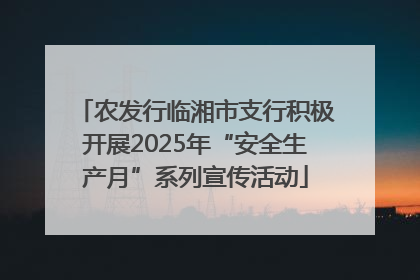 农发行临湘市支行积极开展2025年“安全生产月”系列宣传活动