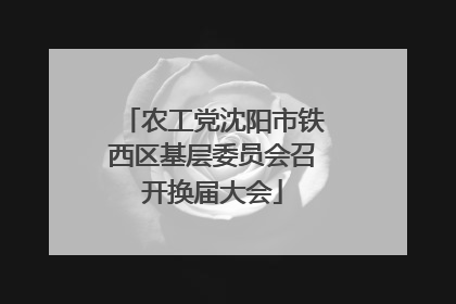 农工党沈阳市铁西区基层委员会召开换届大会