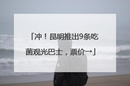 冲！昆明推出9条吃菌观光巴士，票价→