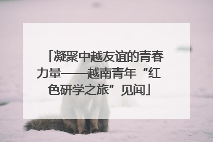 凝聚中越友谊的青春力量——越南青年“红色研学之旅”见闻
