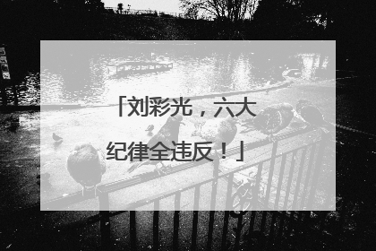 刘彩光，六大纪律全违反！