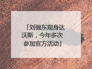 刘强东现身达沃斯，今年多次参加官方活动
