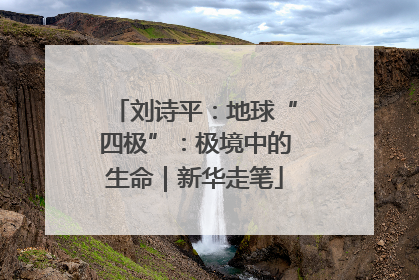 刘诗平：地球“四极”：极境中的生命｜新华走笔
