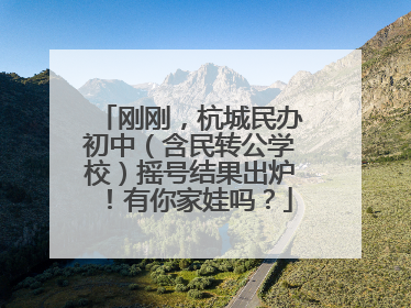 刚刚，杭城民办初中（含民转公学校）摇号结果出炉！有你家娃吗？