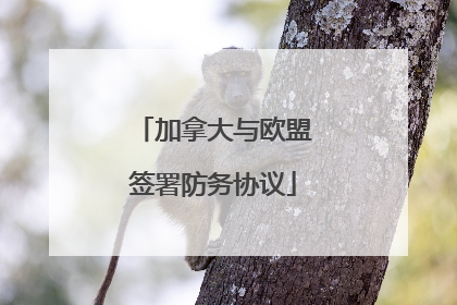 加拿大与欧盟签署防务协议