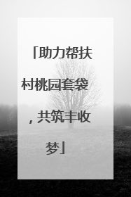 助力帮扶村桃园套袋，共筑丰收梦