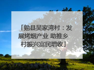 勉县吴家湾村：发展烤烟产业 助推乡村振兴富民增收