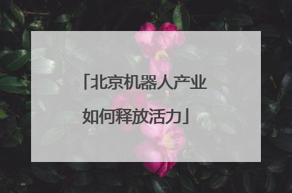 北京机器人产业如何释放活力