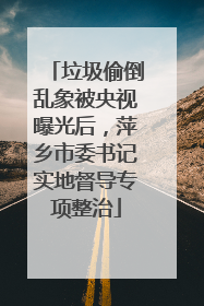 垃圾偷倒乱象被央视曝光后，萍乡市委书记实地督导专项整治