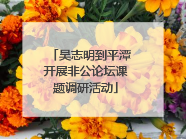 吴志明到平潭开展非公论坛课题调研活动