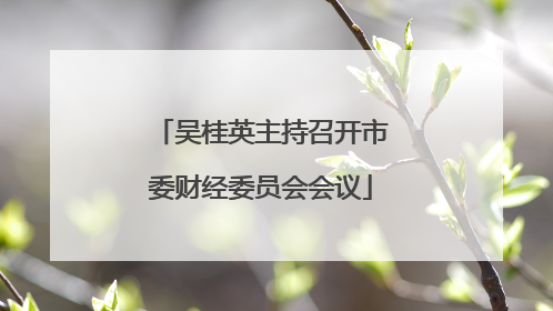 吴桂英主持召开市委财经委员会会议