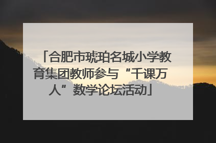 合肥市琥珀名城小学教育集团教师参与“千课万人”数学论坛活动