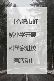合肥市虹桥小学开展科学家进校园活动