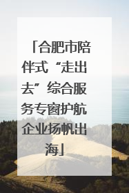 合肥市陪伴式“走出去”综合服务专窗护航企业扬帆出海