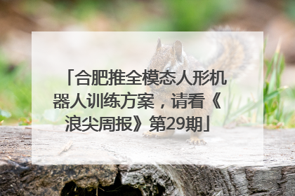 合肥推全模态人形机器人训练方案，请看《浪尖周报》第29期
