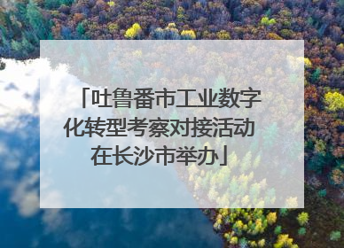 吐鲁番市工业数字化转型考察对接活动在长沙市举办
