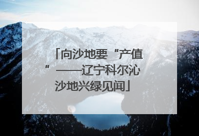 向沙地要“产值”——辽宁科尔沁沙地兴绿见闻