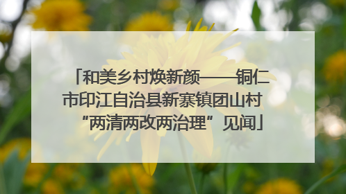 和美乡村焕新颜——铜仁市印江自治县新寨镇团山村“两清两改两治理”见闻