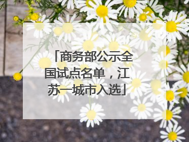 商务部公示全国试点名单，江苏一城市入选