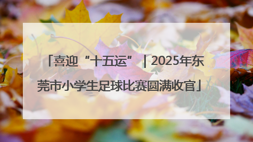 喜迎“十五运”｜2025年东莞市小学生足球比赛圆满收官