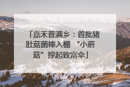 嘉禾普满乡：首批猪肚菇菌棒入棚 “小蘑菇”撑起致富伞