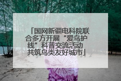 国网新疆电科院联合多方开展“爱鸟护线”科普交流活动 共筑鸟类友好城市