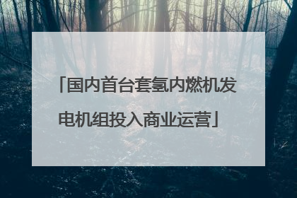 国内首台套氢内燃机发电机组投入商业运营