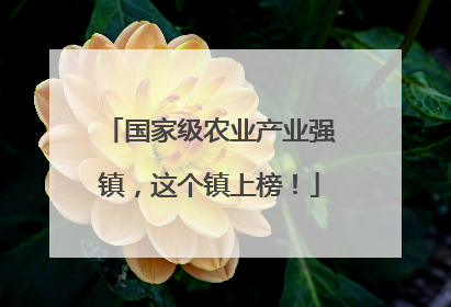 国家级农业产业强镇，这个镇上榜！