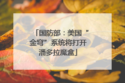 国防部：美国“金穹”系统将打开潘多拉魔盒